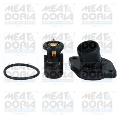 Thermostat, coolant